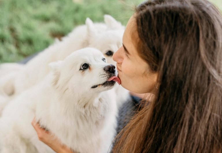 Curiosidade canina: Fatos que Você não Sabia Sobre Cães