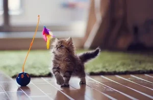 gato-brinquedo-petlove (1)